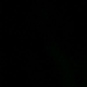 Meet your Posher, Sydney lee